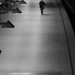 Between Motion and Stillness