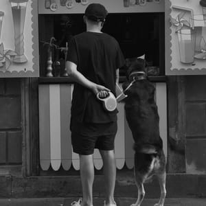 Curiosity at the Counter