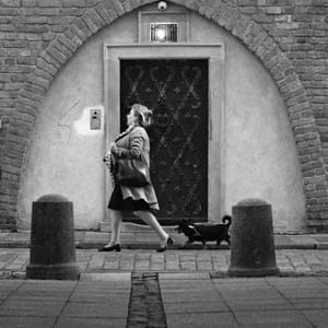 Shadows of Companionship