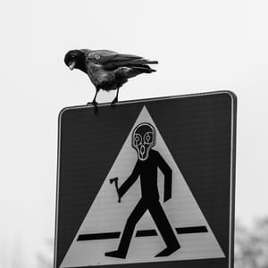 Silent Watch on Screams