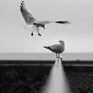 The Reflection of Self