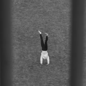 Upside Down in Stillness