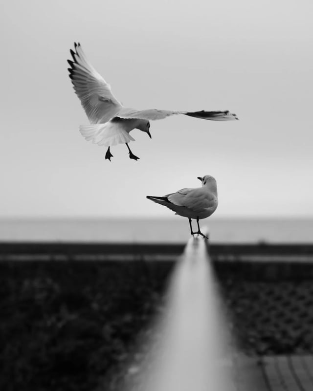 The Reflection of Self