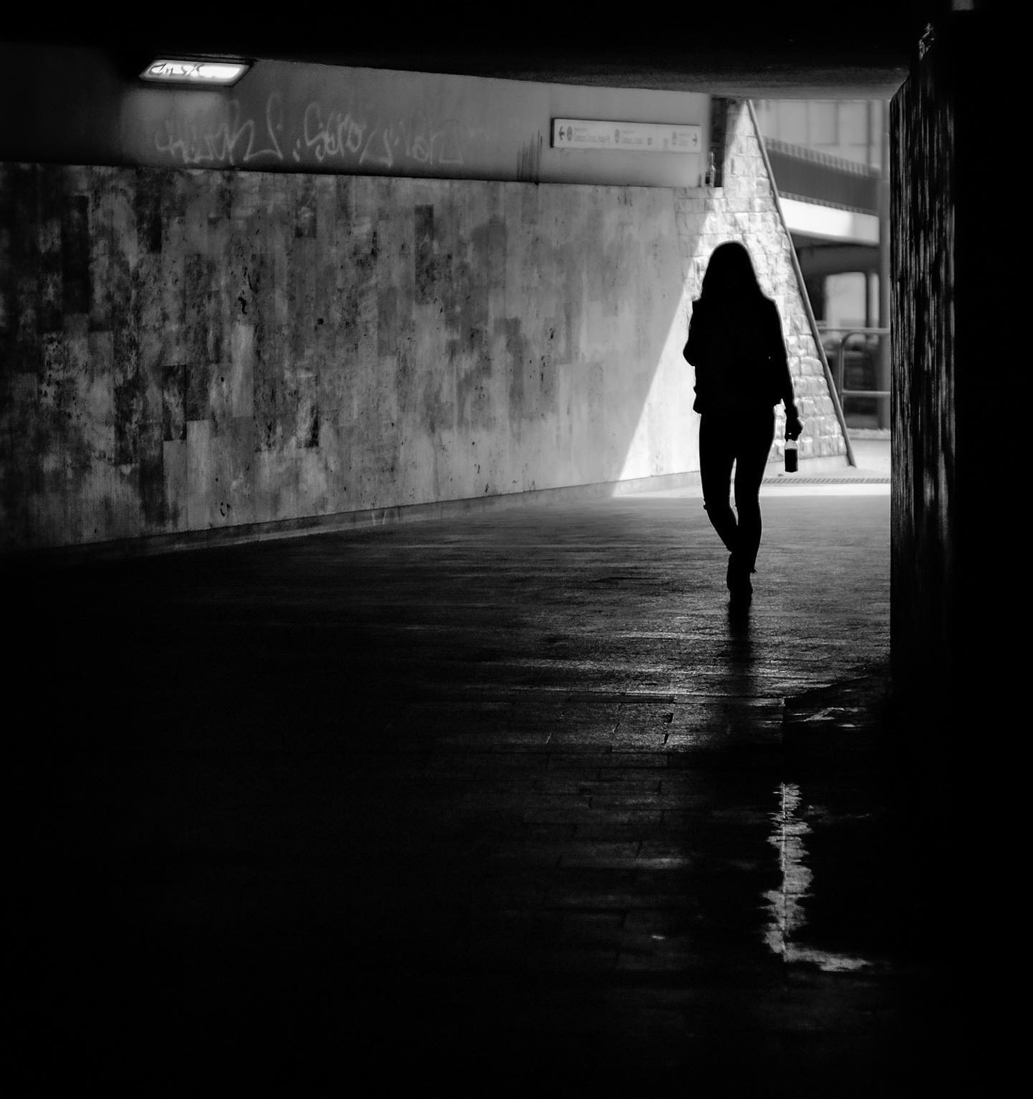 Through the Tunnel's Dark