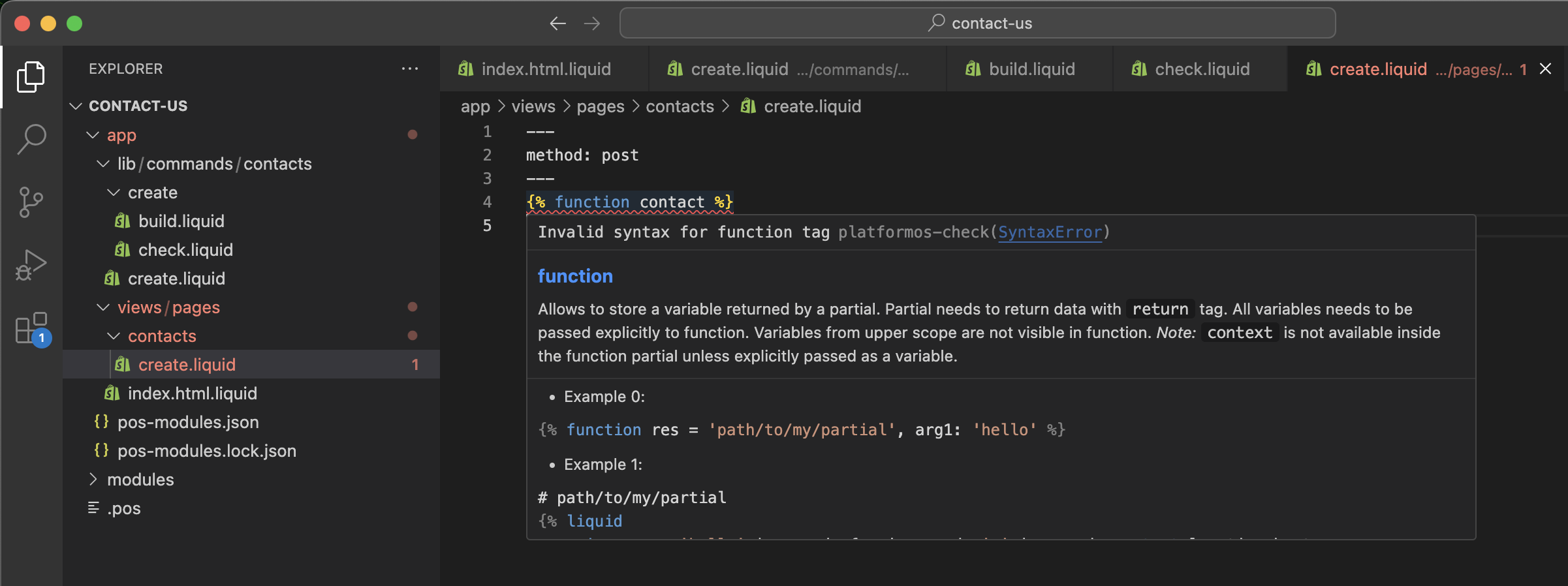LSP error for function tag