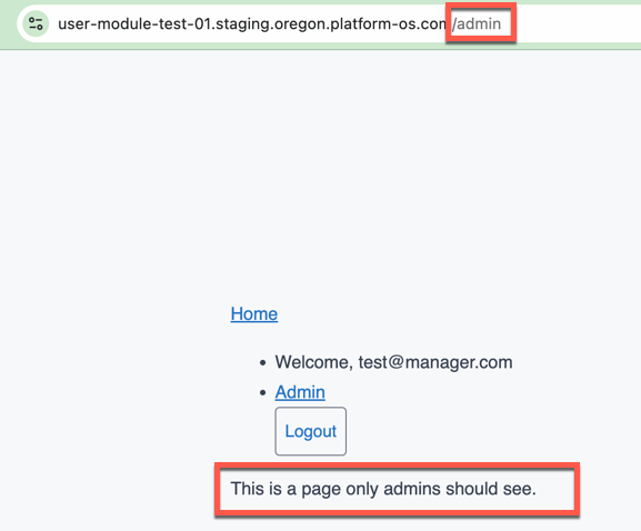 Admin page visible after assigning the manager role