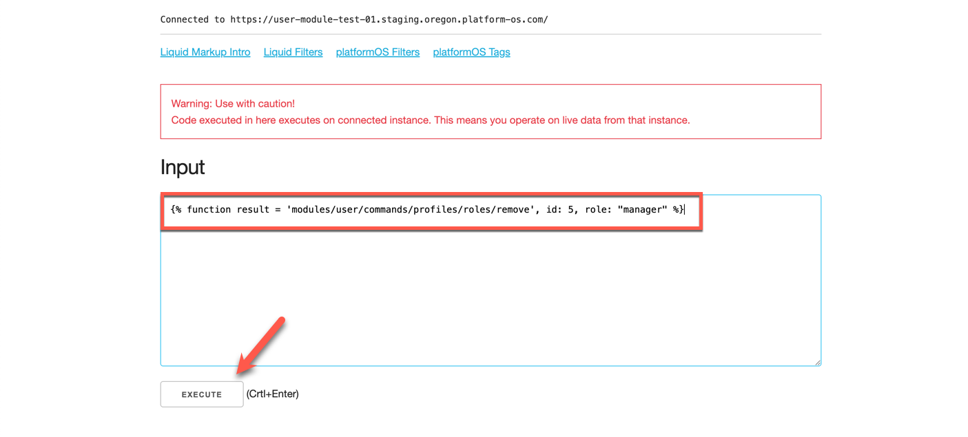 Executing Liquid command to update roles
